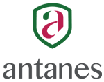 antanes-school