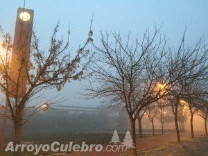 arroyo-culebro_leganes_niebla_20151224_1