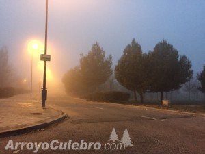 arroyo-culebro_leganes_niebla_20151224_6